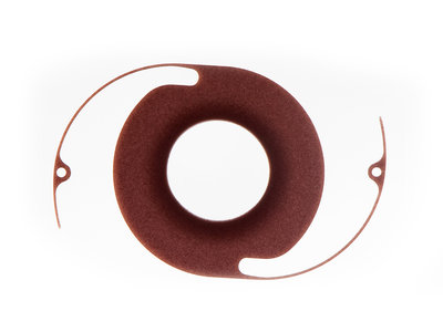 aniridia lens