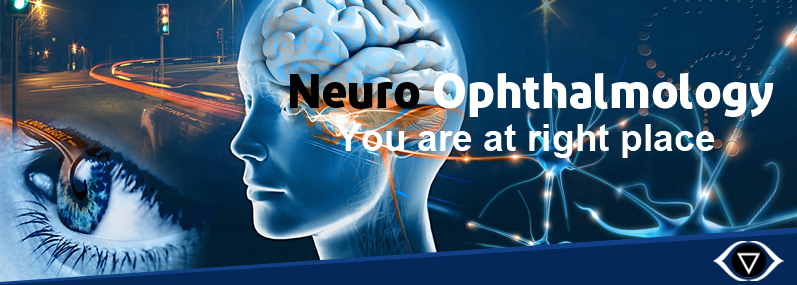 neuro-ophthalmology