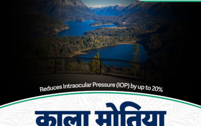 Glaucoma Diagnosis & Treatment at LJEI: Don’t Let It Steal Your Vision